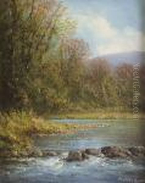 Moorland Scene - view 1