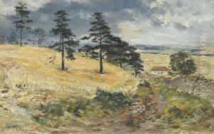 Cornfield At Cowden