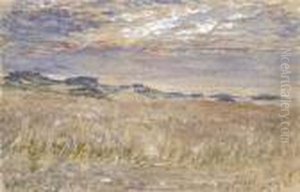 Fields Overlooking The Sea - view 1