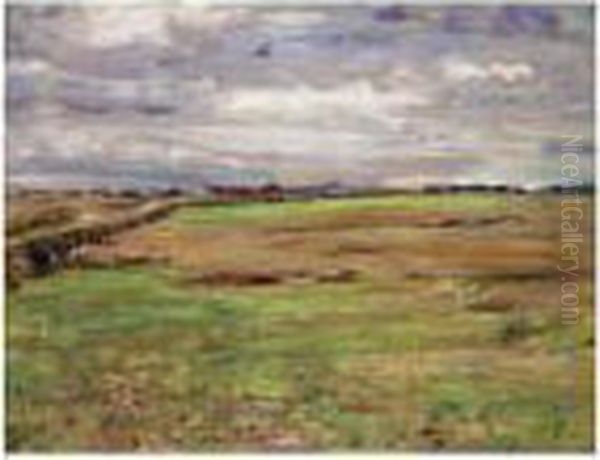 The Open Fields, Springtime, Broomieknowe - view 1