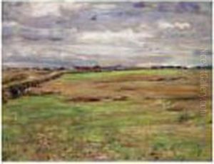 The Open Fields, Springtime, Broomieknowe The Open Fields, Springtime, Broomieknowe