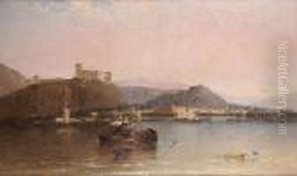 Arona-lago Maggiore - view 1