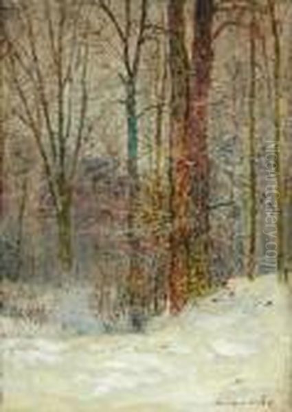 Snow Covered Forest - view 1