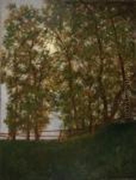 Fak Kerites Mellett - view 1