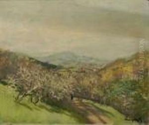 Blick Auf Einen Obstgarten In Bergiger Landschaft
