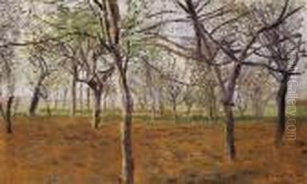 Apple Trees In Bloom - view 1