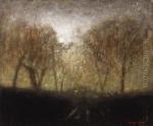 Forest Scene Forest Scene