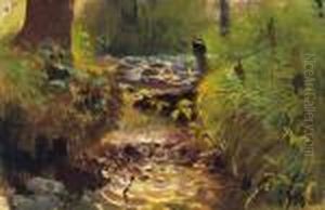Small Stream Small Stream
