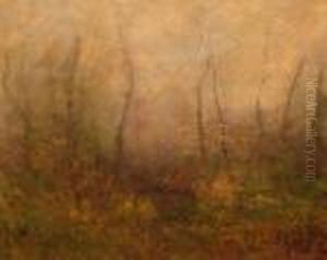 Woodland Scene Woodland Scene