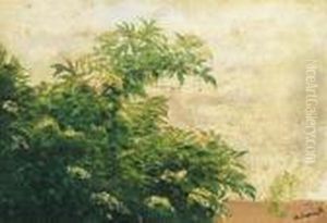 Blossoming Elderberry Bush by Laszlo Mednyanszky