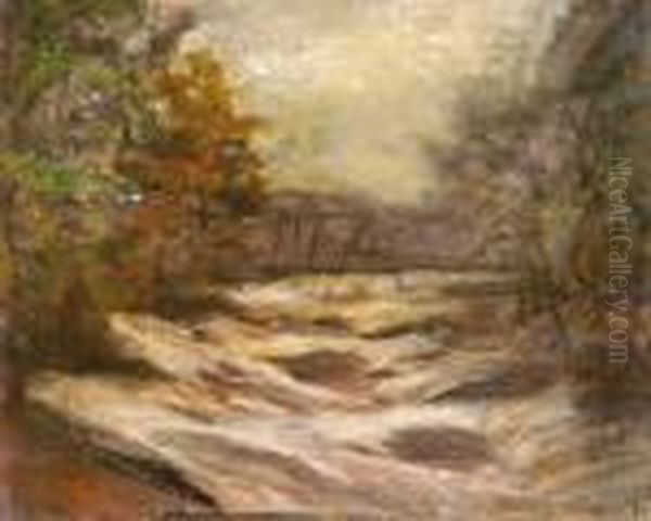 Zuhogo Patak - view 1