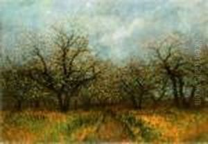 Blooming Trees