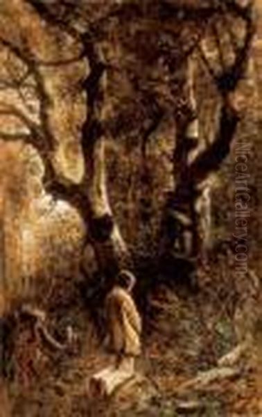 In The Forest - view 1