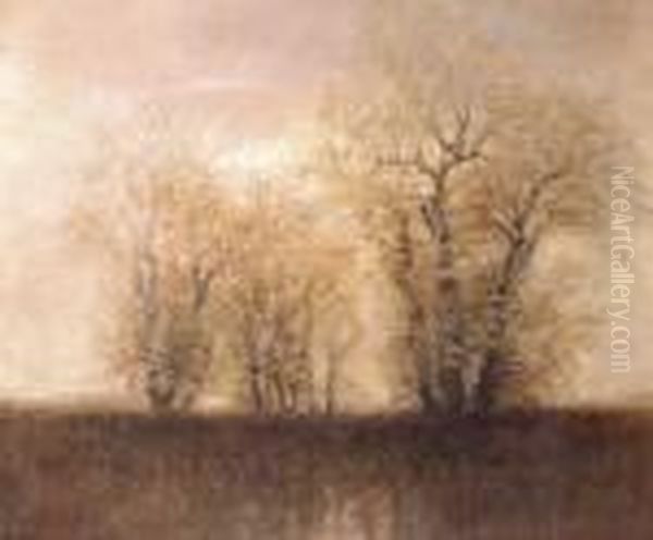Oszi Erdo Naplementeben - view 1