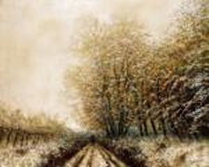 Winter Wood Winter Wood
