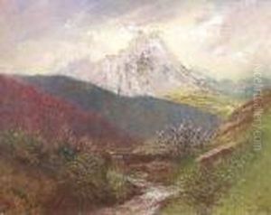 Tatra