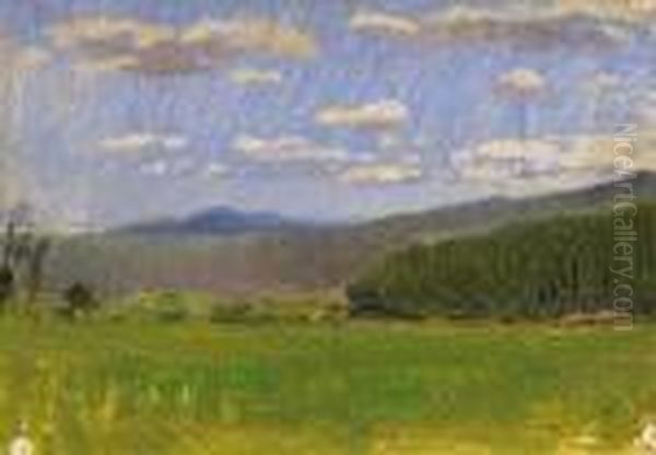 Spring Field - view 1