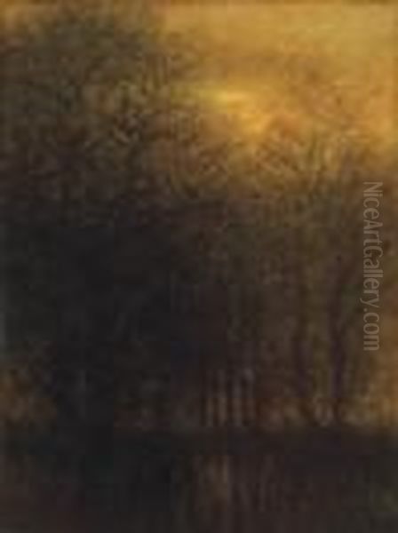 Autumn Lights - view 1