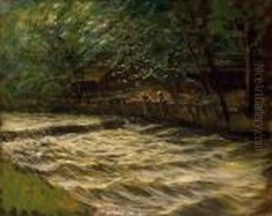 Brawling Brook