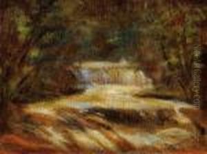 Forest Brook Forest Brook
