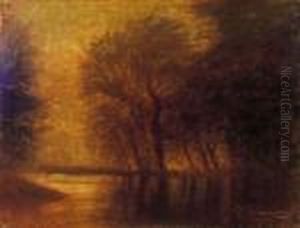 Hazy Lakeside With Distant Lights Hazy Lakeside With Distant Lights
