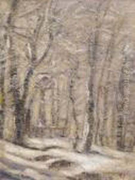 Lights In The Distant Forest - view 1