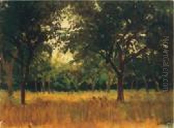 Shadowy Garden - view 1