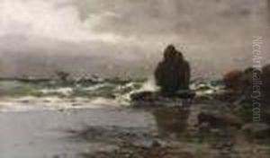 Paysage Marin