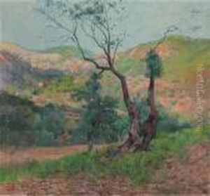 Tree In A Valley Landscape