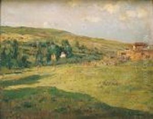 Paisaje De Verano