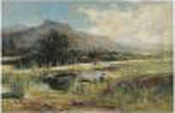 El Remanso (the Fishing Pool) - view 1