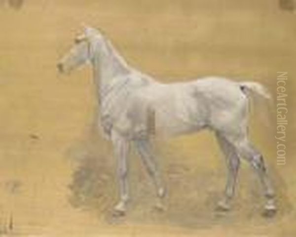 Esquisse Du Cheval De L'empereur Napoleon Pour Le Tableau - view 1