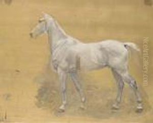 Esquisse Du Cheval De L'empereur Napoleon Pour Le Tableau by Jean-Louis-Ernest Meissonier