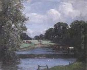 Cattle Crossing The River At Hopton