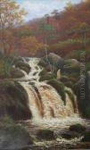 Falls On The Burbadge, Nr. Grindleford Bridge, Derbyshire