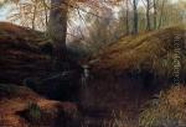 In Bolton Woods, Autumn - view 1
