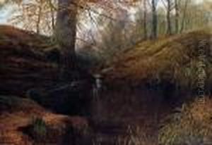 In Bolton Woods, Autumn by William Mellor