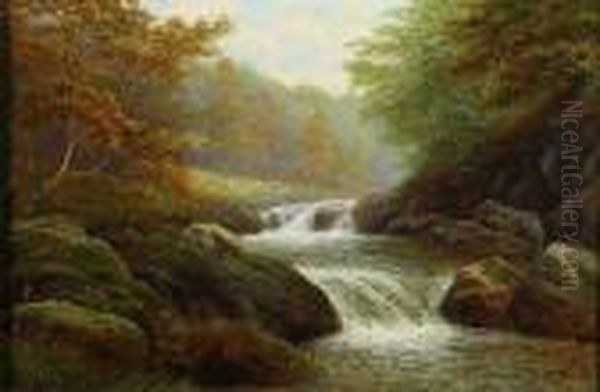 Riverderwent's Woodland Descent - view 1