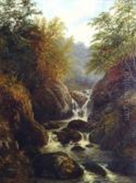 Waterfall In A Wooded Ravine - view 1