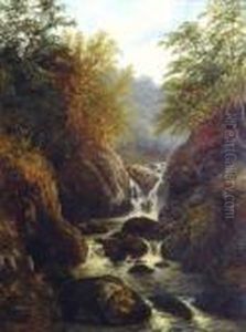 Waterfall In A Wooded Ravine