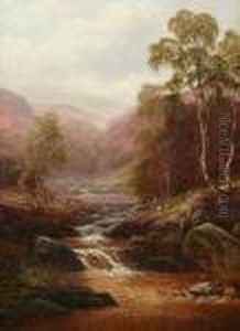 Near Capel Curig, North Wales