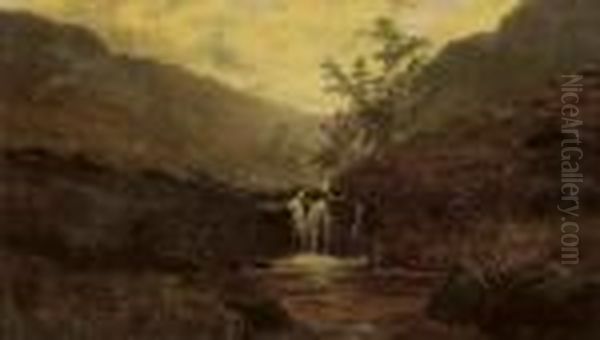 A Moorland Stream - view 1