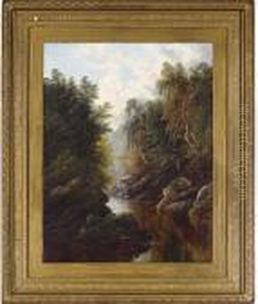 A Peaceful Wooded River Landscape - view 1
