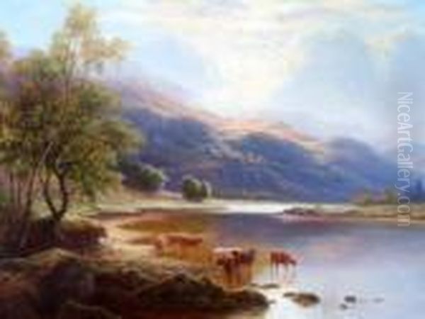 Cattle Watering In A Highland Loch - view 1