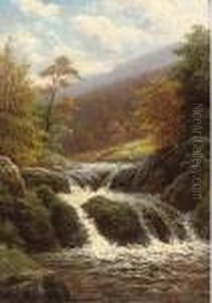 A Rocky Stream - view 1