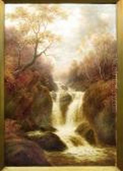 Woodland Interior With Waterfall - view 1
