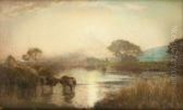 Le Marais De Grimaud - view 1