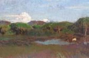 Paysage A La Mare