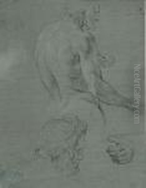 Mannliche Korperstudien. 1774-1779 - view 1