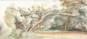 Study Of Trees